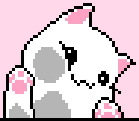 [b994dc] Smushed Cat
