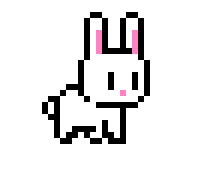 bunny