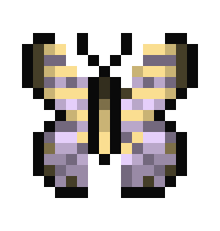 [c80e06] butterfly