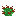 [9013da] snapdragons