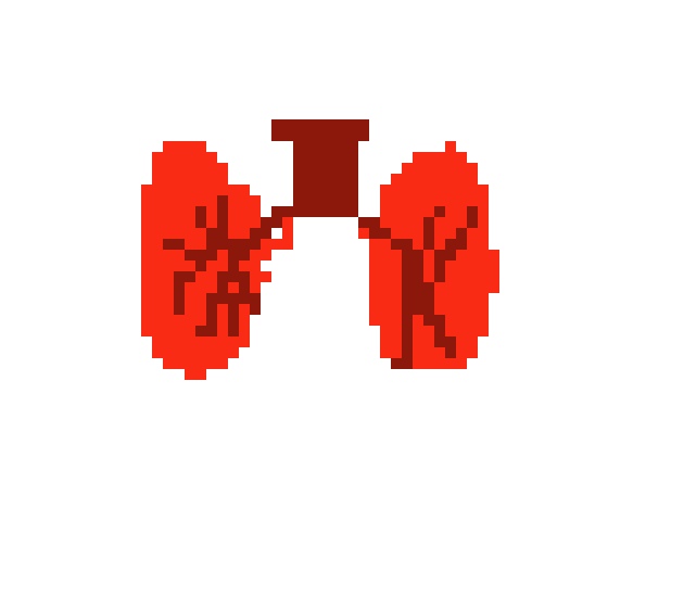 [570043] Pixel Lung