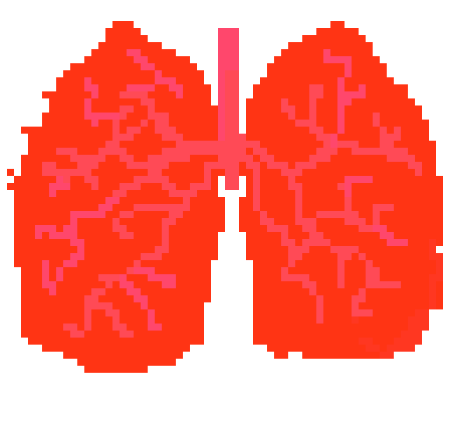 [570043] PIXEL LUNG:)