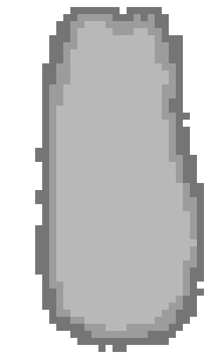 [9664c4] StoneWalkWay2