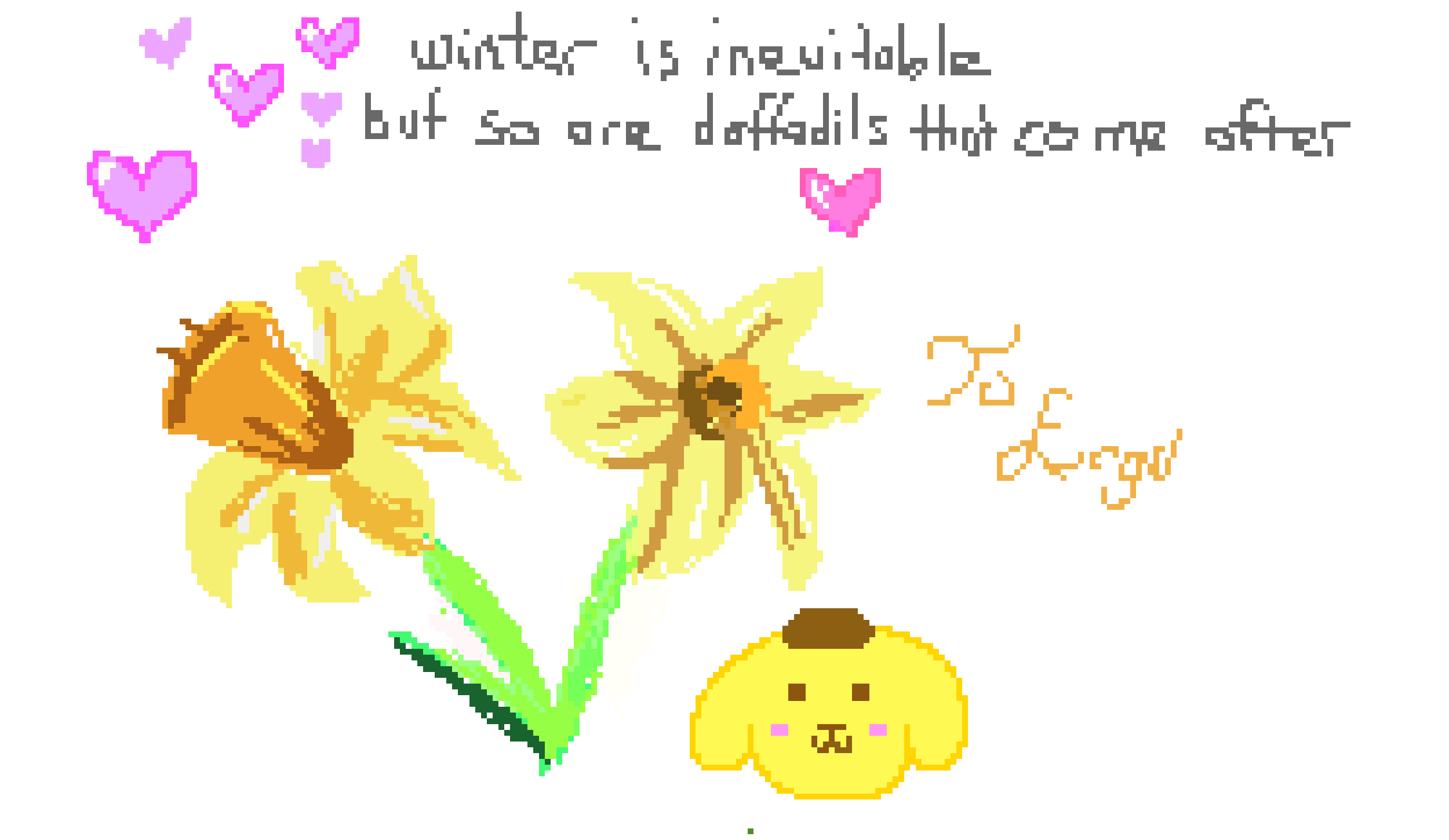 [6c5789] daffodils