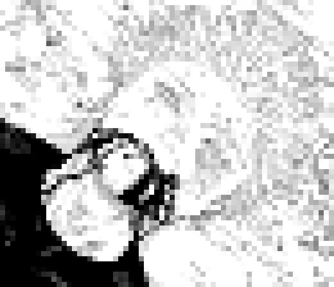 [700740] I mean like. why would hollet do that