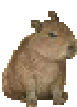 [6c8297] capy