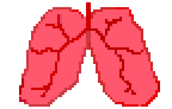 [401978] pixel lungs