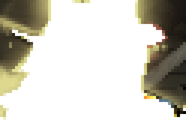 [816c09] I have a rat pfp- otherwise I should be noticeable. Ty Pj.