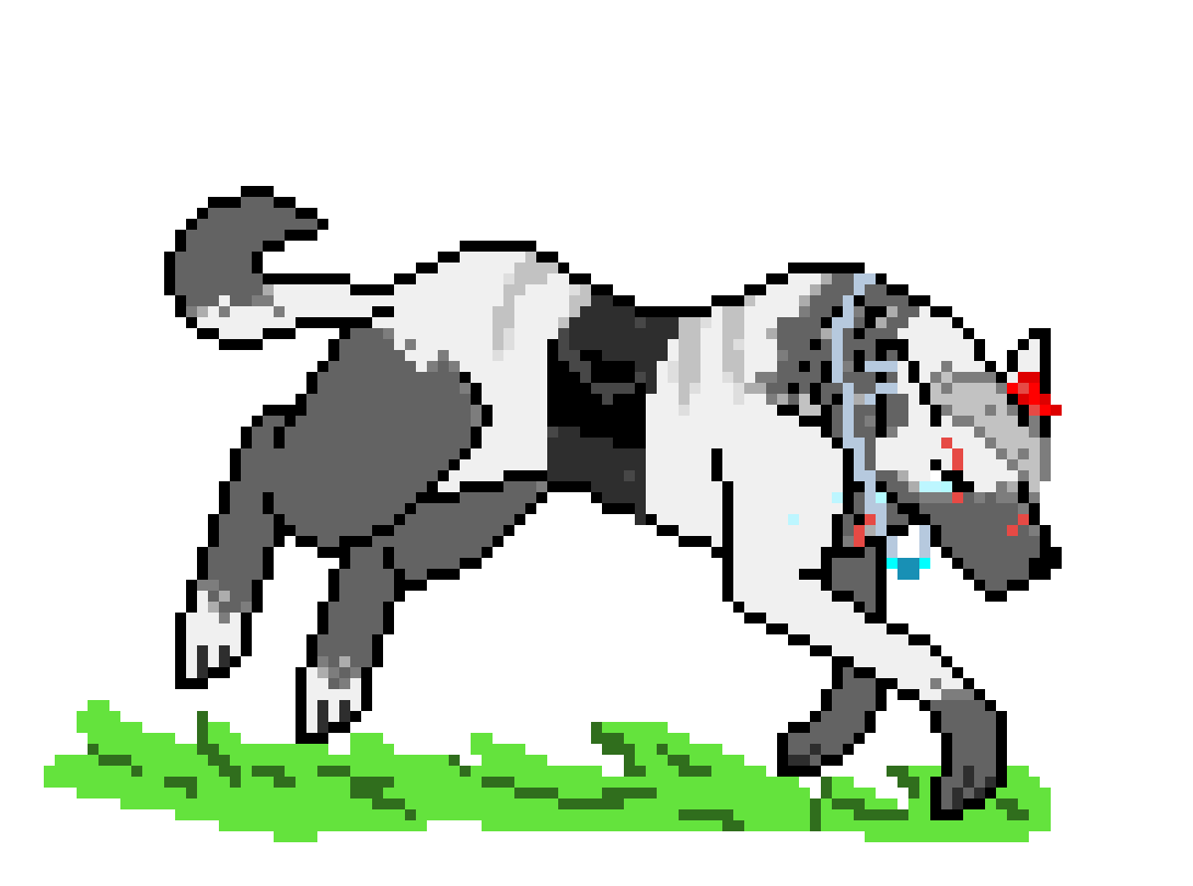 [9664c4] Birch Paw - Wolf OC