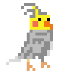 [70cdd2] Cockatiel