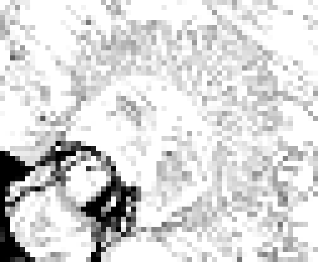 [af557c] ᶜᵃˡˡ ᵃⁿ ᵃᵐᵇᵘˡᵃⁿᶜᵉ