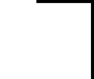 [49fe20] border