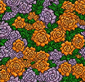 [d71e82] roses_px