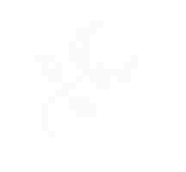 [1d5b6d] flower white