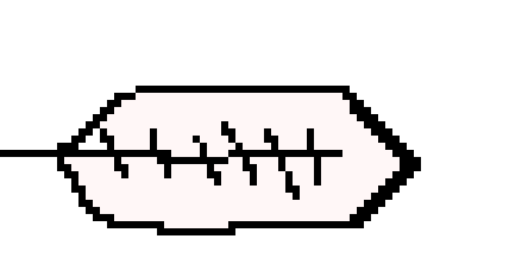 [ec7752] Feather that bird shoots