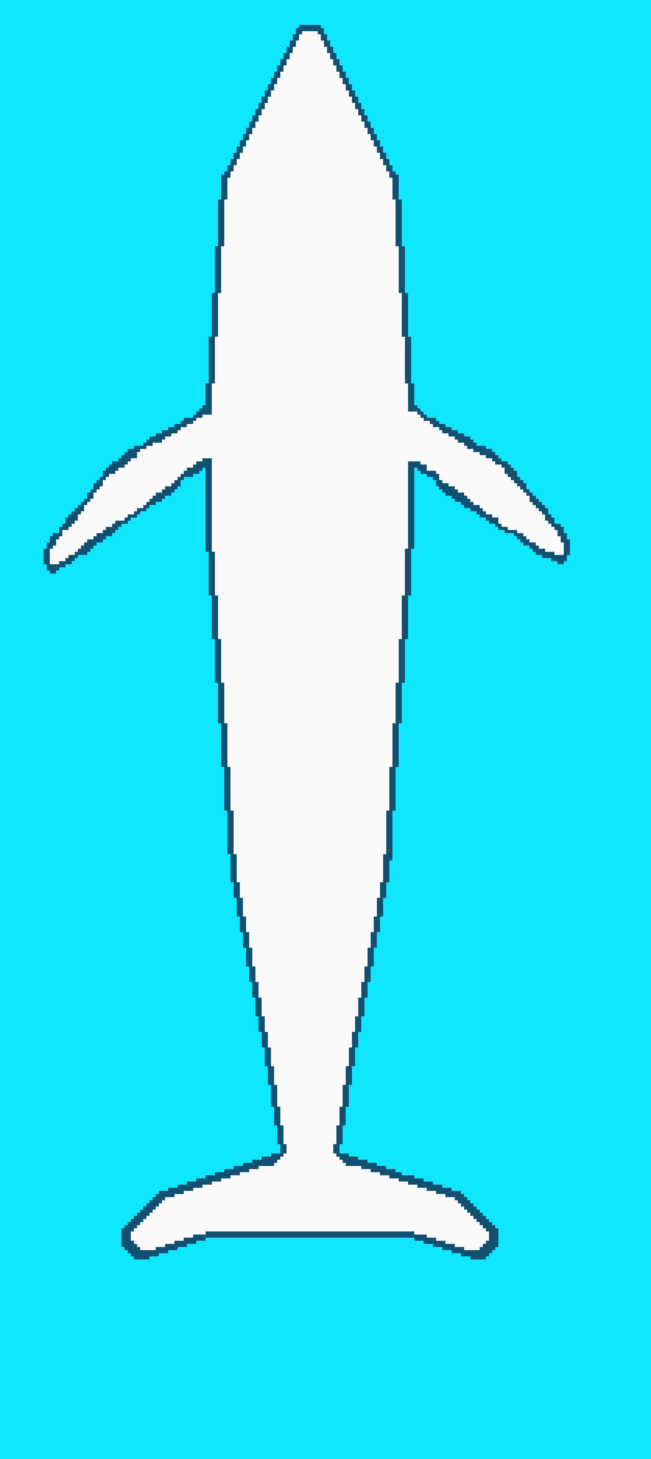 whale skateboard