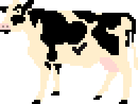 [c8414c] cow