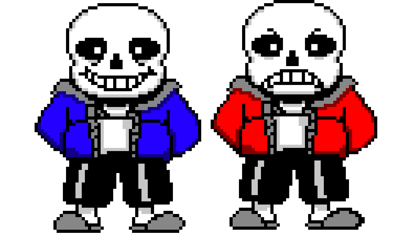 sans vs snas