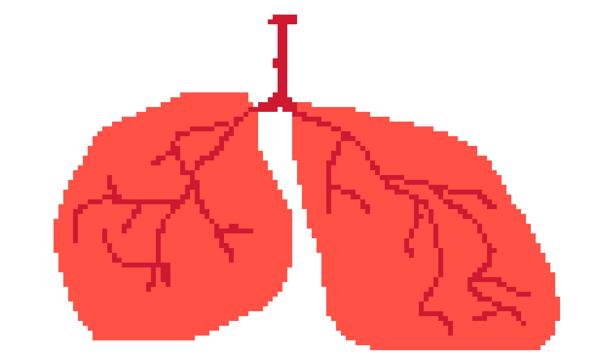 [401978] PIXEL LUNGS