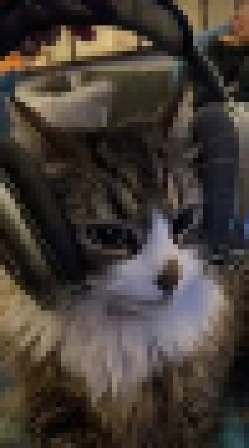 [35dc76] someone looked at some website that tells you when other websites domains expire and told others about it, i dont know who it was that did though