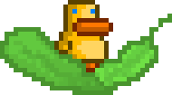 duck riding leaf