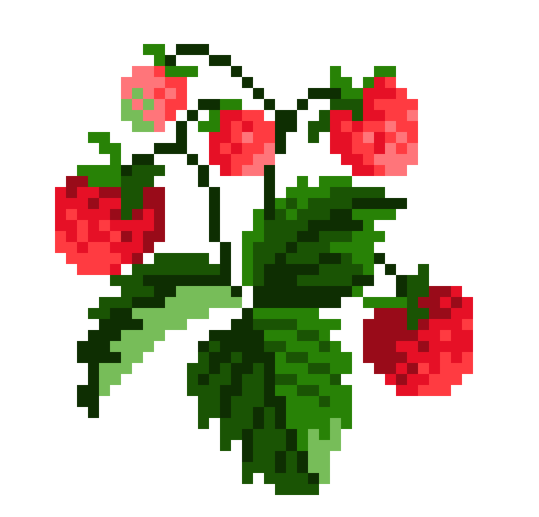 [9664c4] Strawberries