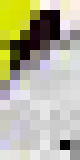 [746f80] TenSpawn