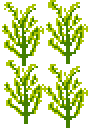 [09ecc9] rice