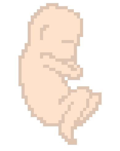 [a3a9ec] fetus.