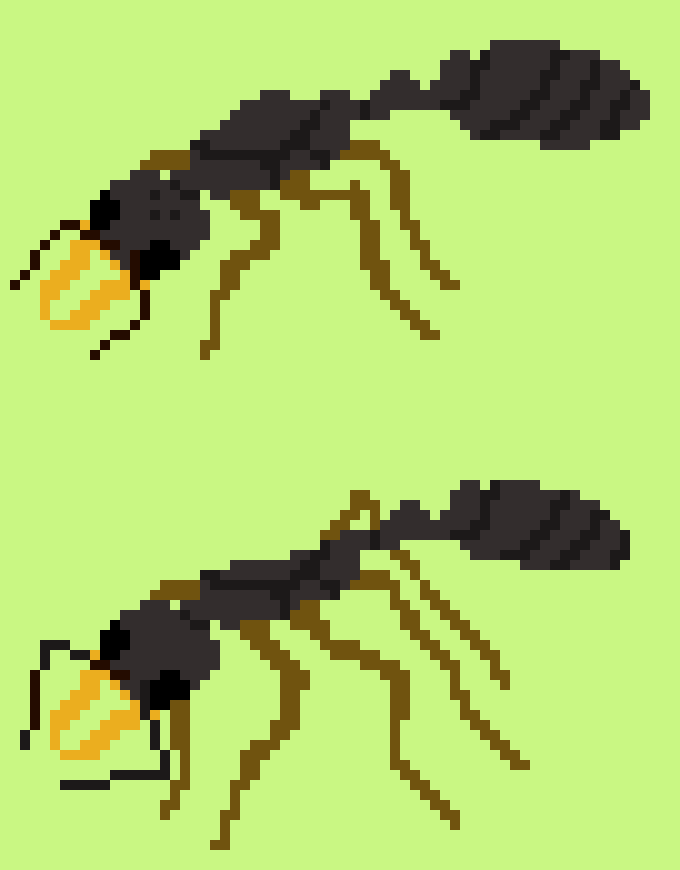 [4eadcd] pilosula