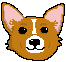 [9664c4] corgi