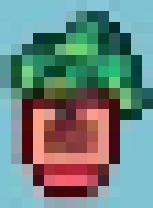 [d3cd96] pot