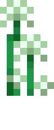 [21c6e7] fa2