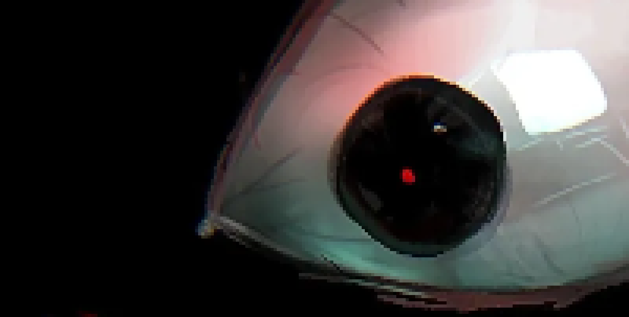 [bce8e5] https://rainn.org/get-the-facts-about-cocsa-child-on-child-sexual-abuse/