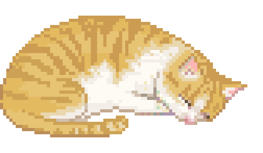 cat the best