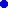 [4d0f6a] BlueCircle