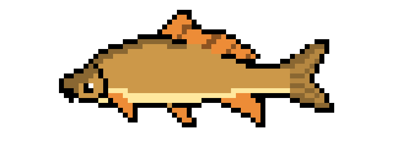 [650301] Carp