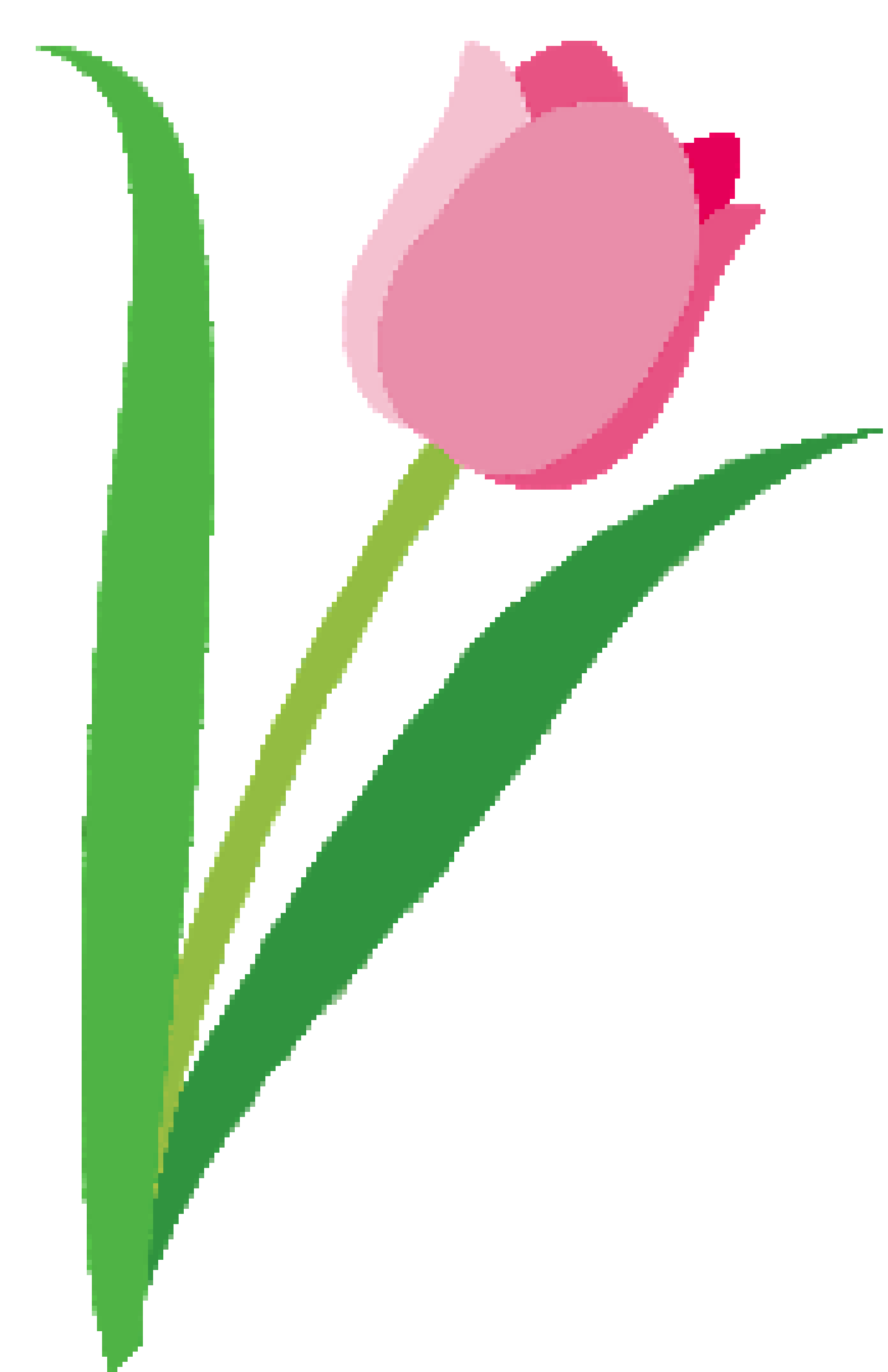 [5f5608] flower