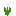 [9664c4] flower_tulip_white