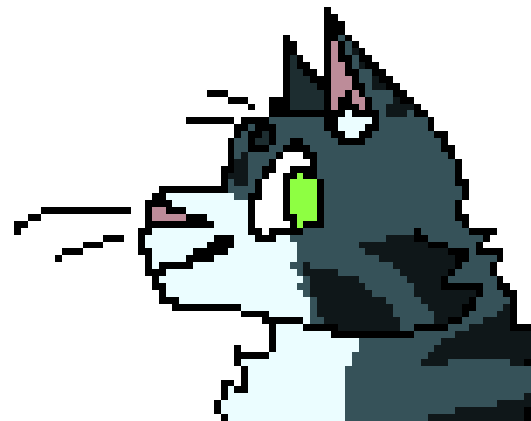 [050f15] Cat