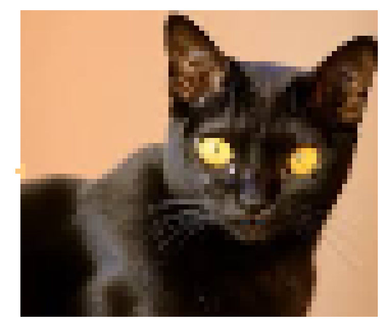 [e8d841] My cat (●♡∀♡)