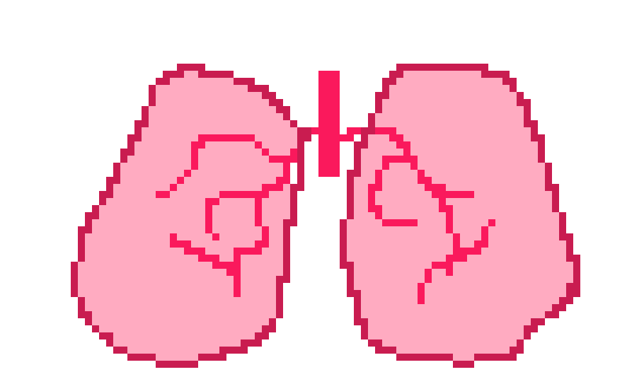 [401978] Binary Pixel Lungs