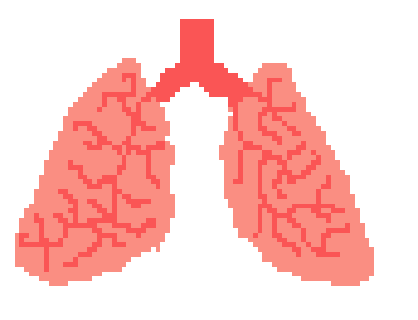 [2b4978] lungs
