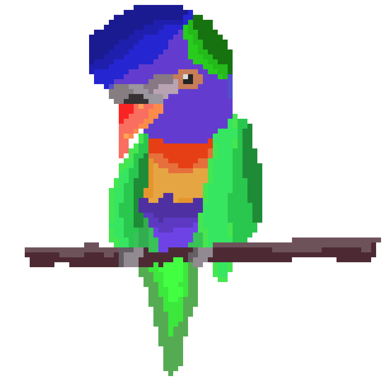 [24e7dd] rainbow lorikeet