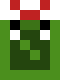 [4029f9] headsegmentregularsnake