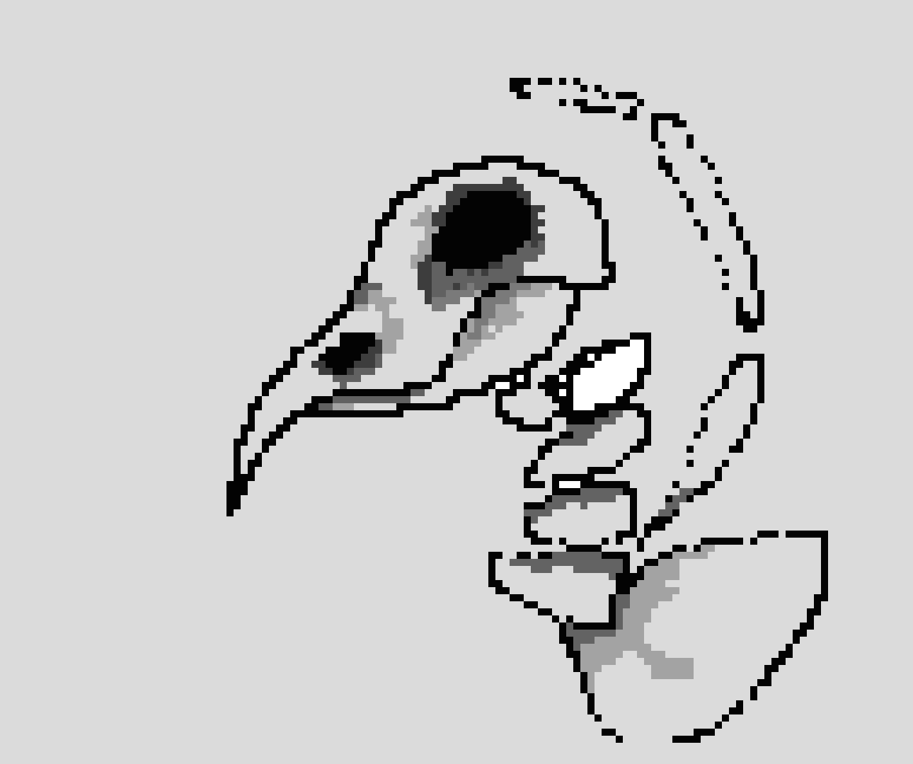 [9664c4] crow a