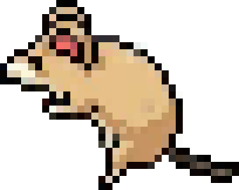 [81727c] Rat humping the air