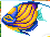 [f15231] animal_angelfish