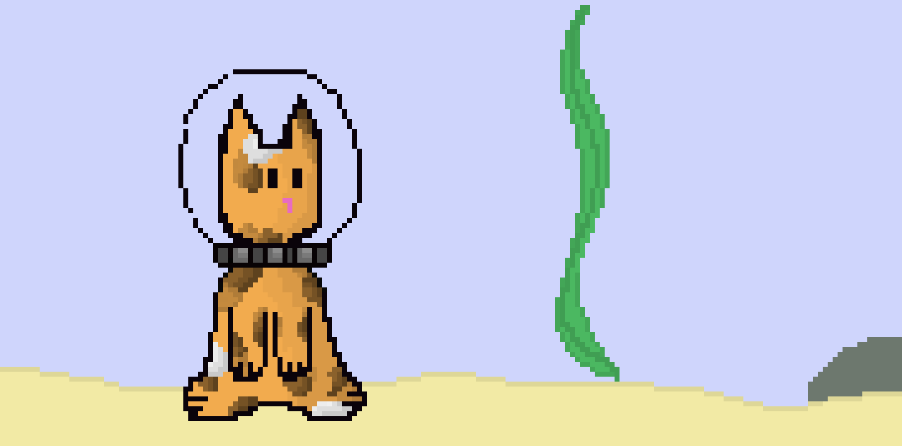 Octo-CAt