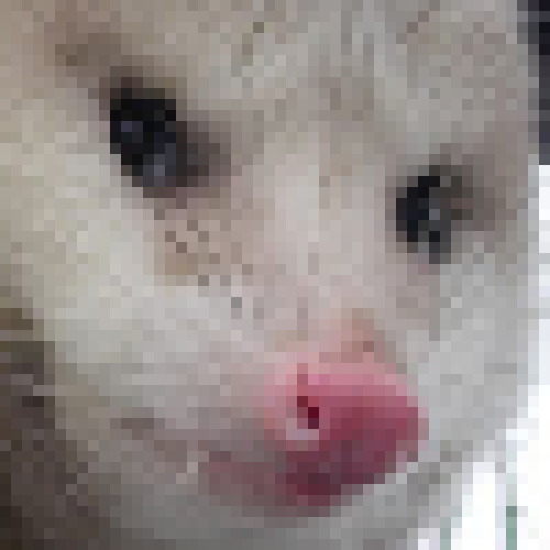 [8048ed] Fuck.